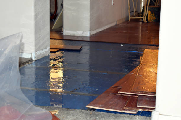 Professional Basement Flood Cleanup technician working in Mashpee, MA
